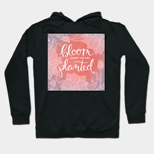 Bloom Where You Are Planted Hoodie